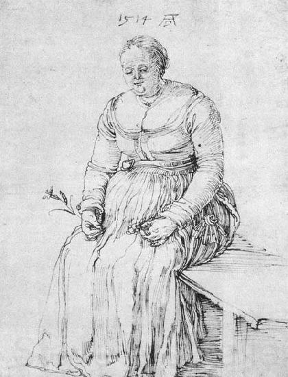 Albrecht Durer Seated Woman Spain oil painting art